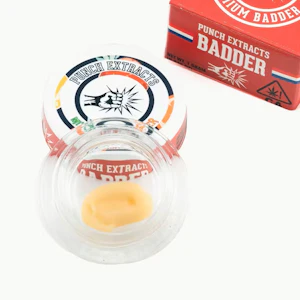 Punch Edibles & Extracts - Punch Extracts - 1g BHO Badder - Mixed Fruit