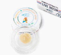 Punch Extracts - 1g Live Rosin Badder Tier3 - Swamp Water Fumez