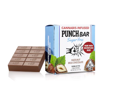 Punch - Sugar Free Hazelnut Milk Chocolate 