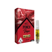 XJ-13 1G - PUNCH EDIBLES & EXTRACTS