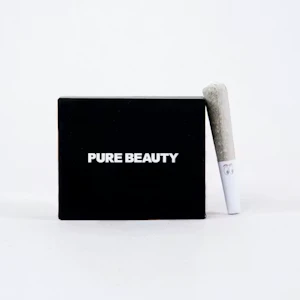 PURE BEAUTY - Pure Beauty Babies 10pk Prerolls 3.5g Hybrid