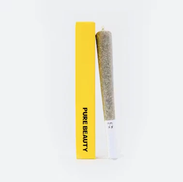 Pure Beauty - Pure Beauty Preroll 1g Mango Mintality Main Image