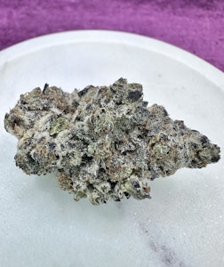 Quality High - Pure Michigan