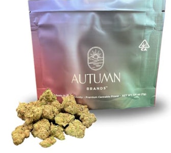 Autumn Brands - Autumn Brands 7g Purple Carbonite