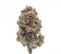 TVC | Purple Champagne | Bulk Flower