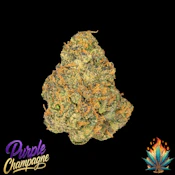 Native Fire 2g- Purple Champagne