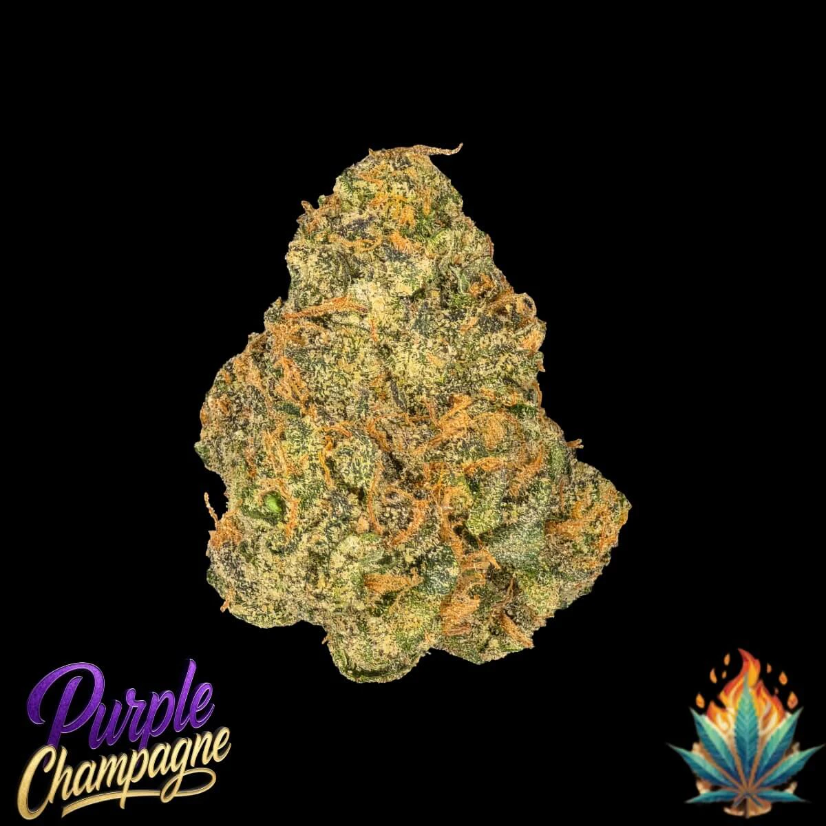 Native Fire - Native Fire 2g- Purple Champagne Main Image