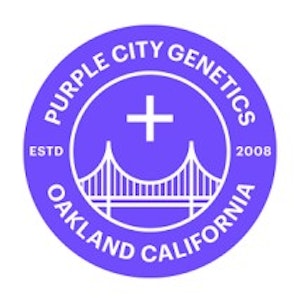 PURPLE CITY GENETICS - SALE Purple City Bubble Tea FEMINIZED Seeds 6pk (Akira) PD