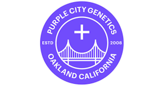 PURPLE CITY GENETICS - Purple City Pavarotti FEM Seeds 6pk ND
