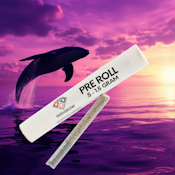 Single Purple Dream Ride PreRoll