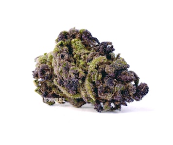 COASTAL SUN - Coastal Sun | OCal | Tropicana Cherry | 14g