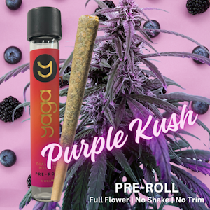 YAGA - Purple Kush 1G Preroll (Indica)