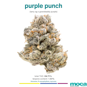 MOCA Flowers - MOCA Flowers - 1/8th Mylar Bag - Purple Punch