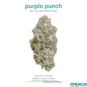 MOCA Flowers - 1/8th Jar - Purple Punch