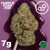 Purple Push P 7g 41168