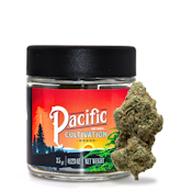 Purple Thai - Jarred (Eighth)