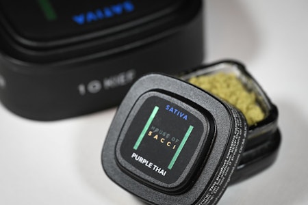 Sacci - Sacci | Purple Thai | 1g KIEF