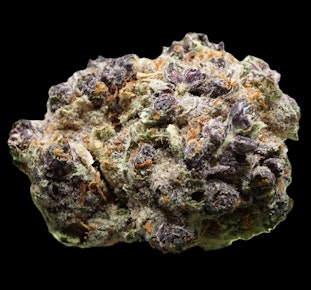 Purple Haze - buds