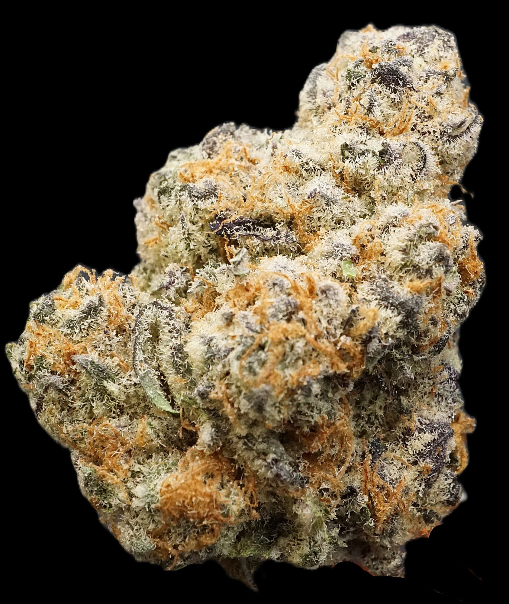 MJ Verdant - Purple Punch - Buds (Hybrid) Main Image