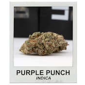 Purple Punch