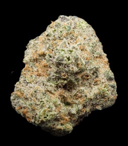 Purple Sunset Bulk Flower