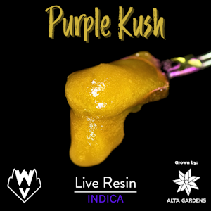 WILLAMETTE VALLEY ALCHEMY - Purple Kush, Live Resin