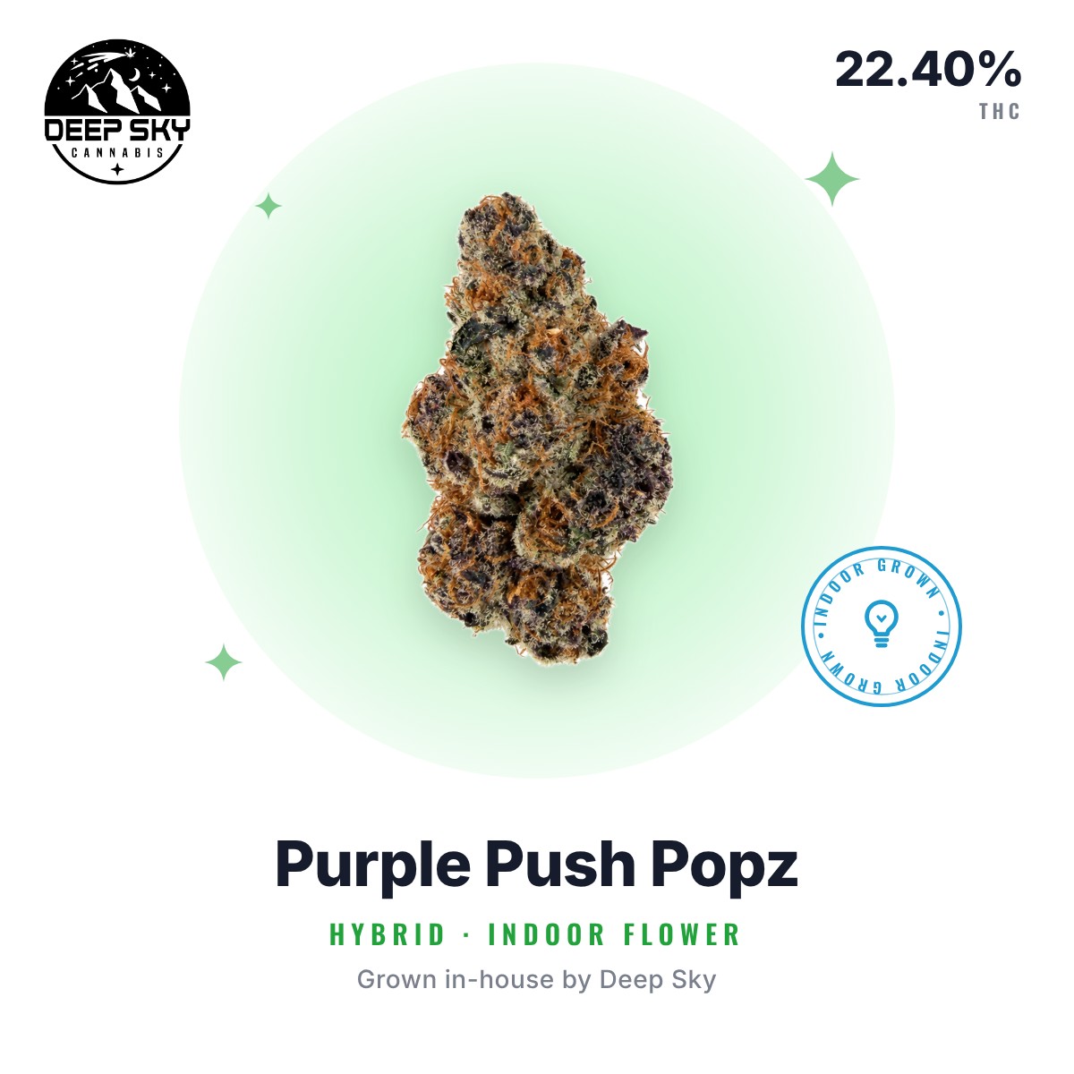 Purple Push Popz flower