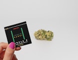 Sacci | Purple Z | 0.7g