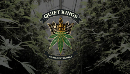 Quiet Kings - Durban Gushers | 7g | Quiet Kings Main Image