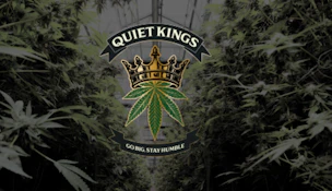 Grape Soda | 1g | Pre Roll | Quiet Kings