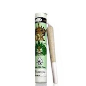 Quiet Kings - Apple Fritter - Preroll - 1G