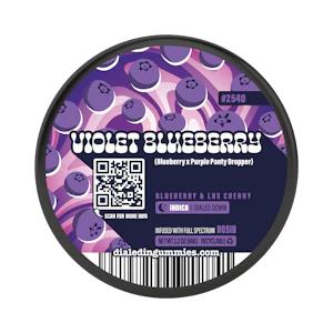 Dialed In - Dialed In - Gummies - Violet Blueberry (I) - 100mg