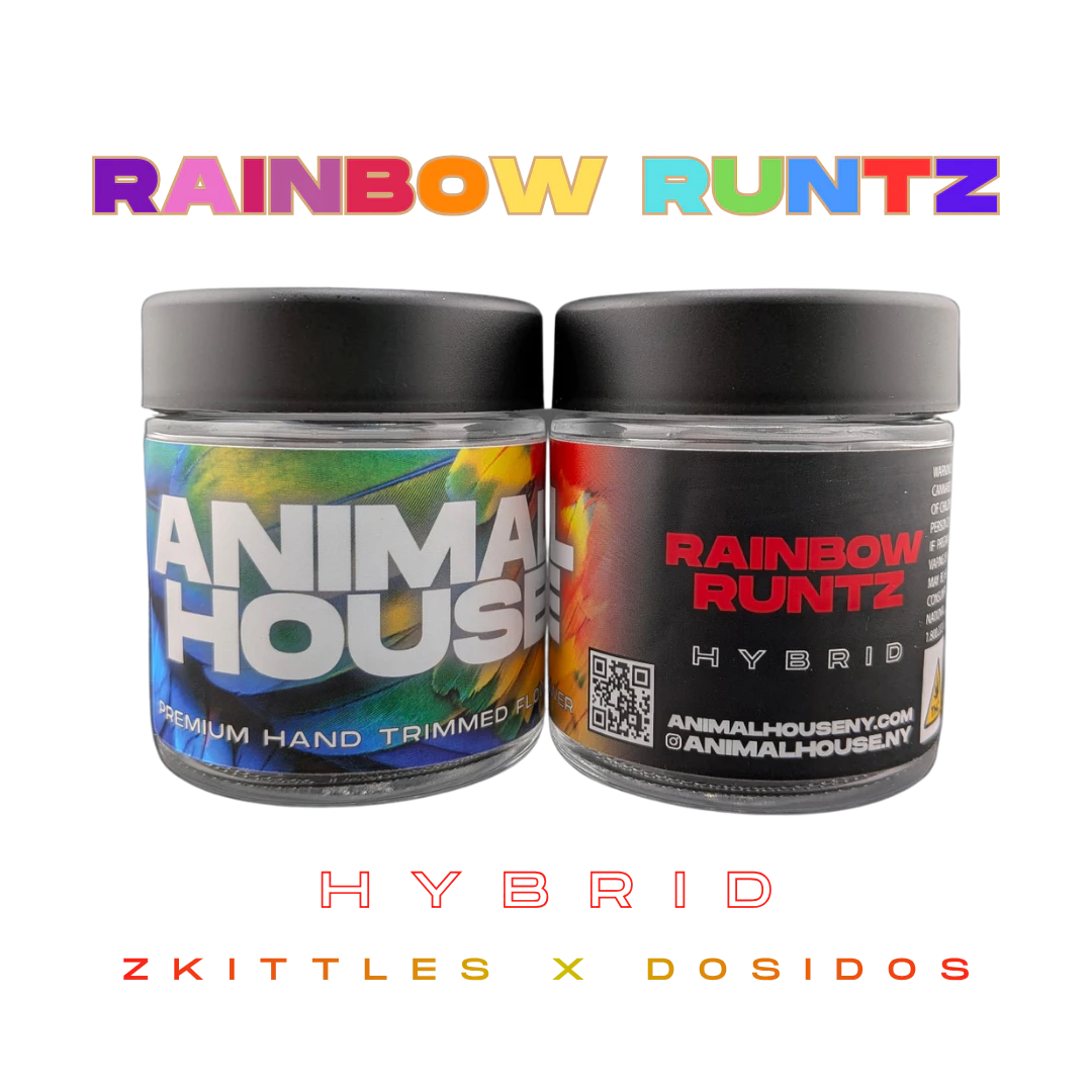 Animal House - Animal House | Rainbow Runtz | Indoor | Flower | 3.5g | Hybrid  Main Image