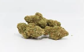 Flo - RAINBOW SHERBET 1/8oz Main Image