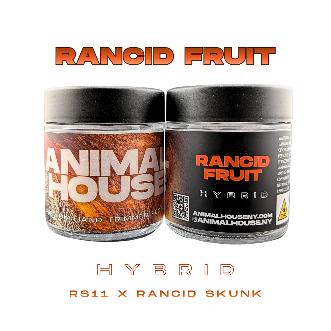 Animal House - Animal House | Rancid Fruit | Indoor | Flower | 3.5g | Hybrid Main Image