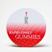 Wild Berry Rapid Onset Gummies - 100mg - Happy Valley