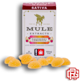 Raspberry Lemonade Mini Kicker Gummies | 10pc 200mg 1:1 (THC:CBG)