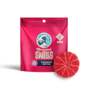 TSUNAMI - SWELLS RASPBERRY RIPTIDE 100MG