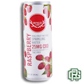 Raspberry Sparkling Water | 12oz 50mg (CBD)
