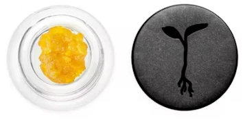 RAW GARDEN - Concentrate - God's Breath - Live Resin - 1G