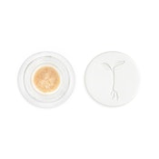 Raw Garden | Ze Chem | Live Rosin | [1g] | Sativa