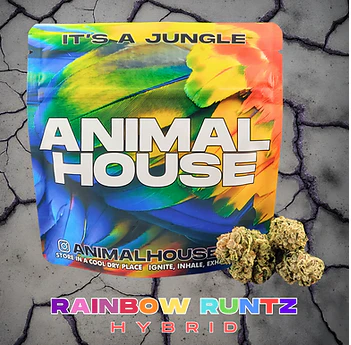 Animal House - Animal House | Rainbow Runtz | 3.5 Hybrid  Main Image