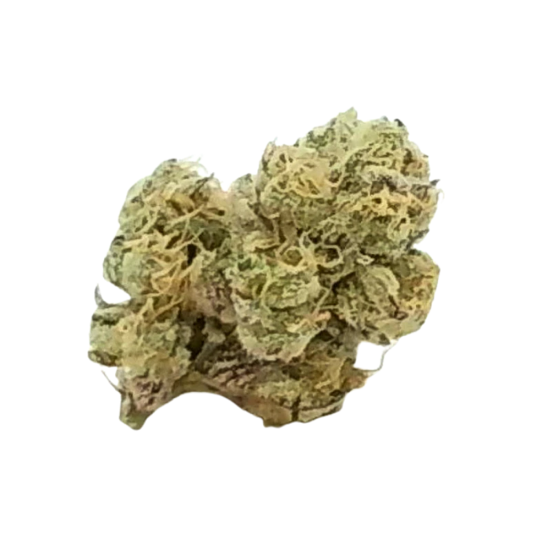 R & D Pharms - RD Black Maple | 7g Main Image