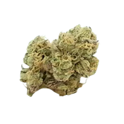 RD Black Maple | 3.5g