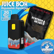 Red Berry Sherb Disposable - 2g - BBN