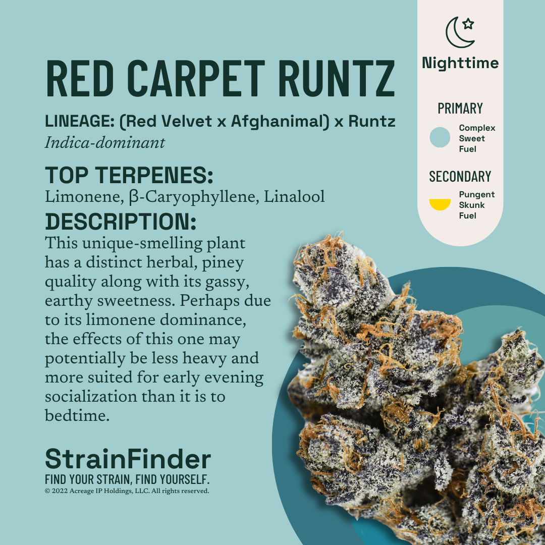 The Botanist | Flower | Red Carpet Runtz | 3.5g