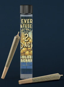 Revert | Preroll | Infused | Golden Berry | 2pk | 1.5G