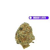 RG $29 Hollywood OG (I)(H) 1/8th (INDOOR)