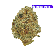 RG $29 Hollywood OG (I)(H) 1/8th (INDOOR)