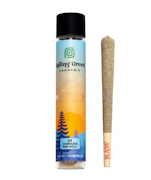 Rolling Green | Tangerine Dream | Preroll | 1g